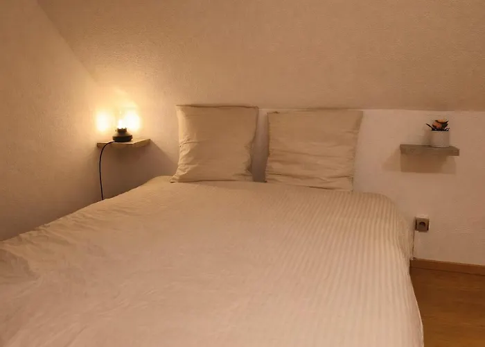 Appartement Le Piscine Jacuzzi Vignoble Bollwiller