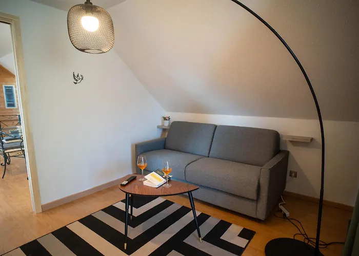 Appartement Le Piscine Jacuzzi Vignoble Bollwiller